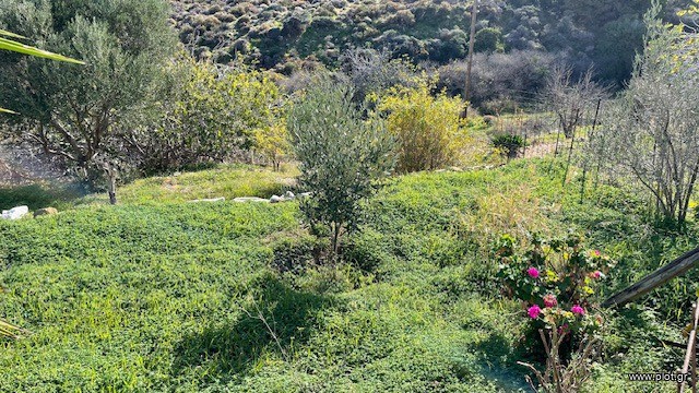 Οικόπεδο 224 τ.μ. πρός πώληση, Κυκλάδες, Νάξος - Δρυμαλία