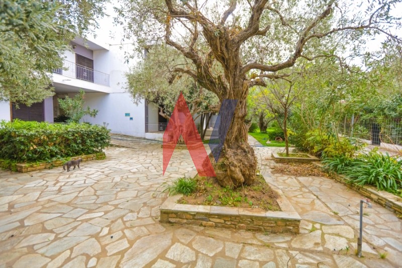 Ξενοδοχείο 1.158 τ.μ. πρός πώληση, Μαγνησία, Αφέτες