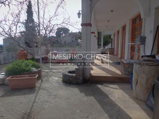 Κατάστημα 177 τ.μ. για ενοικίαση, Ν. Χίου, Χίος-thumb-6