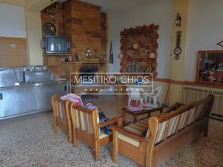 Κατάστημα 177 τ.μ. για ενοικίαση, Ν. Χίου, Χίος-thumb-13