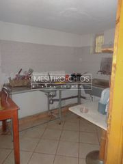 Κατάστημα 177 τ.μ. για ενοικίαση, Ν. Χίου, Χίος-thumb-16