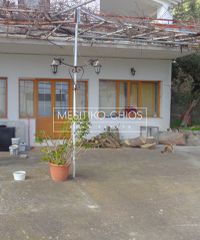Κατάστημα 177 τ.μ. για ενοικίαση, Ν. Χίου, Χίος-thumb-1