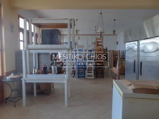 Κατάστημα 177 τ.μ. για ενοικίαση, Ν. Χίου, Χίος-thumb-15