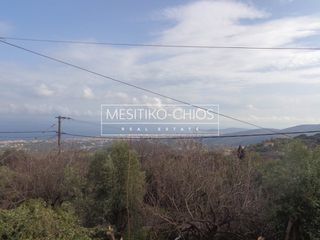 Κατάστημα 177 τ.μ. για ενοικίαση, Ν. Χίου, Χίος-thumb-9