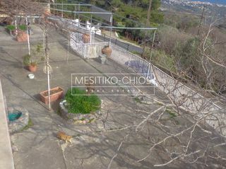 Κατάστημα 177 τ.μ. για ενοικίαση, Ν. Χίου, Χίος-thumb-11