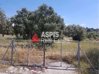 Αγροτεμάχια 2.200 τ.μ. προς πώληση