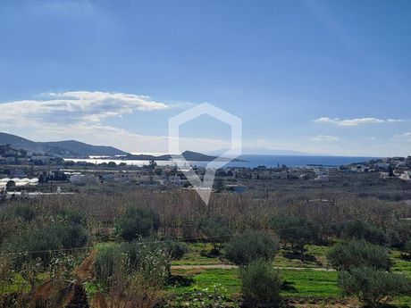 Detached home 438 sqm for sale