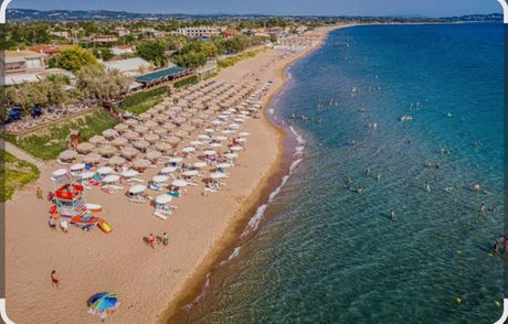 Hotel from 1sqm for wanted-Amaliada » Kouroutas