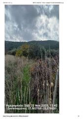 Αγροτεμάχια 2.300 τ.μ. για πώληση