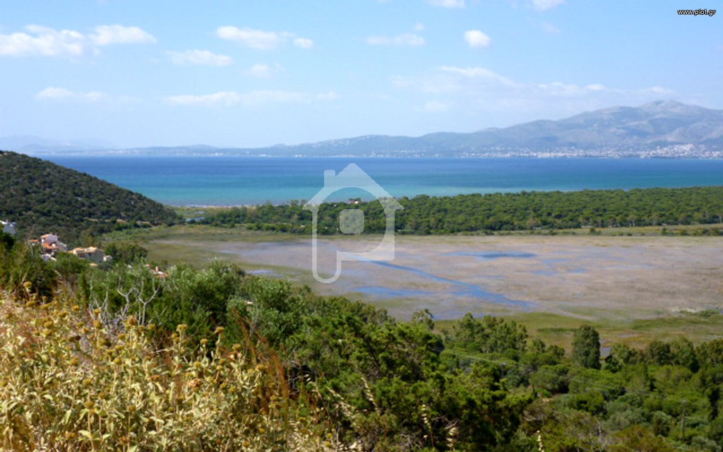 Οικόπεδο 1.024 τ.μ. πρός πώληση, Αθήνα - Ανατολικά Προάστια, Μαραθώνας