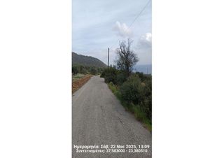 Αγροτεμάχια 557 τ.μ. για πώληση