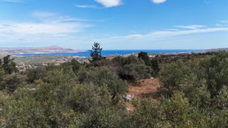 Οικόπεδο 8.022 τ.μ. για πώληση