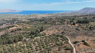 Οικόπεδο 8.022 τ.μ. για πώληση, Ν. Χανίων, Βάμος-thumb-2