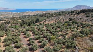 Οικόπεδο 8.022 τ.μ. για πώληση, Ν. Χανίων, Βάμος-thumb-3