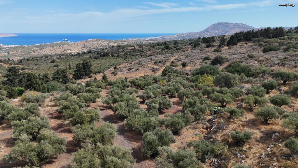 Οικόπεδο 8.022 τ.μ. προς πώληση, Ν. Χανίων, Βάμος