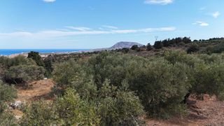 Οικόπεδο 8.022 τ.μ. για πώληση, Ν. Χανίων, Βάμος-thumb-7