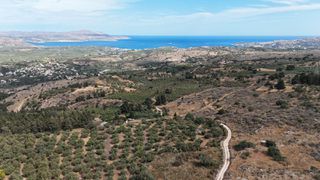 Οικόπεδο 8.022 τ.μ. για πώληση, Ν. Χανίων, Βάμος-thumb-8