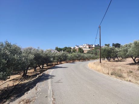 Οικόπεδο 4.540 τ.μ. προς πώληση