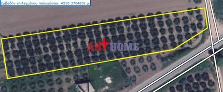 Αγροτεμάχια 5.000τ.μ. για πώληση-Πολύγυρος » Όλυνθος