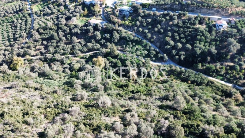 Οικόπεδο 2.017 τ.μ. προς πώληση, Σταλός