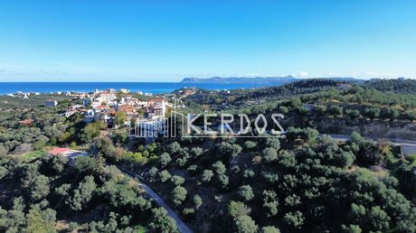 Οικόπεδο 6.147 τ.μ. προς πώληση