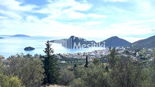 Αγροτεμάχια 4.004 τ.μ. προς πώληση, Τολό-thumb-15