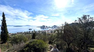 Αγροτεμάχια 4.004 τ.μ. προς πώληση, Τολό-thumb-10