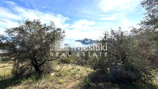 Αγροτεμάχια 4.004 τ.μ. προς πώληση, Τολό-thumb-6