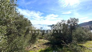 Αγροτεμάχια 4.004 τ.μ. προς πώληση, Τολό-thumb-9