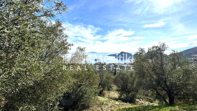Αγροτεμάχια 4.004 τ.μ. προς πώληση, Τολό