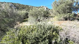 Αγροτεμάχια 4.004 τ.μ. προς πώληση, Τολό-thumb-14