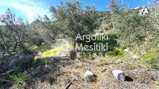 Αγροτεμάχια 4.004 τ.μ. προς πώληση, Τολό-thumb-8