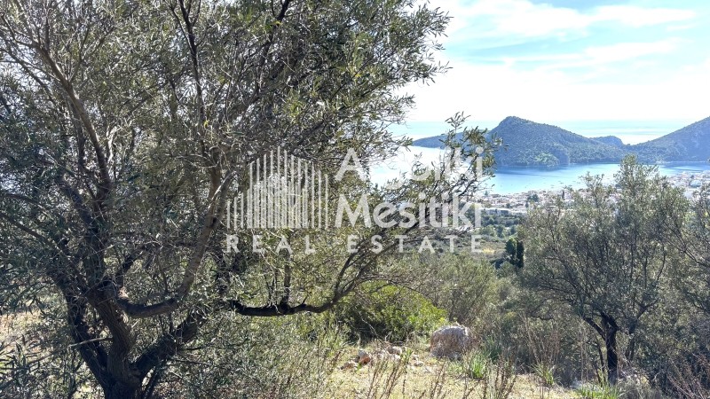 Αγροτεμάχια 4.004 τ.μ. προς πώληση, Τολό