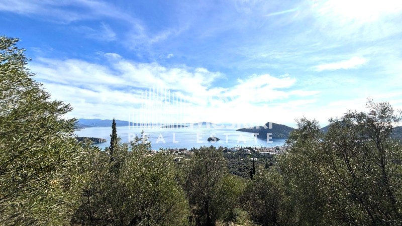 Αγροτεμάχια 4.004 τ.μ. προς πώληση, Τολό