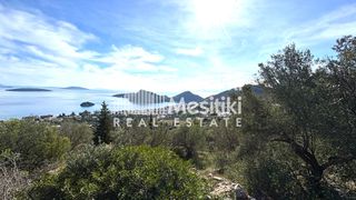 Αγροτεμάχια 4.004 τ.μ. προς πώληση, Τολό-thumb-12
