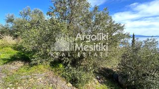 Αγροτεμάχια 4.004 τ.μ. προς πώληση, Τολό-thumb-5