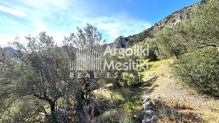 Αγροτεμάχια 4.004 τ.μ. προς πώληση, Τολό-thumb-11