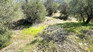 Αγροτεμάχια 4.004 τ.μ. προς πώληση, Τολό-thumb-4