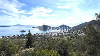 Αγροτεμάχια 4.004 τ.μ. προς πώληση, Τολό-thumb-1