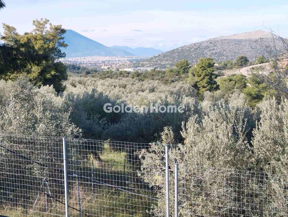 Οικόπεδο 25.000 τ.μ. προς πώληση, Αφράτι Ληλαντίου