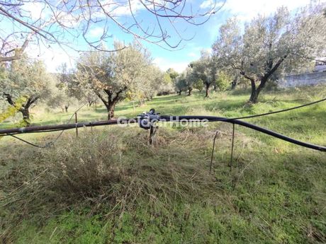 Οικόπεδο 25.000 τ.μ. προς πώληση