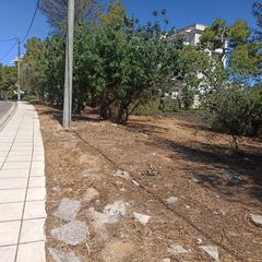 Οικόπεδο 1.300 τ.μ. για πώληση