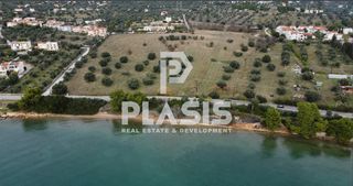 Αγροτεμάχια 74.557 τ.μ. για πώληση