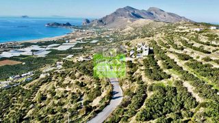 Οικόπεδο 20.000 τ.μ. για πώληση