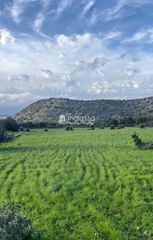 Οικόπεδο 21.000 τ.μ. για πώληση