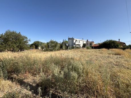 Οικόπεδο 504τ.μ. για πώληση-Νίκαια » Κέντρο