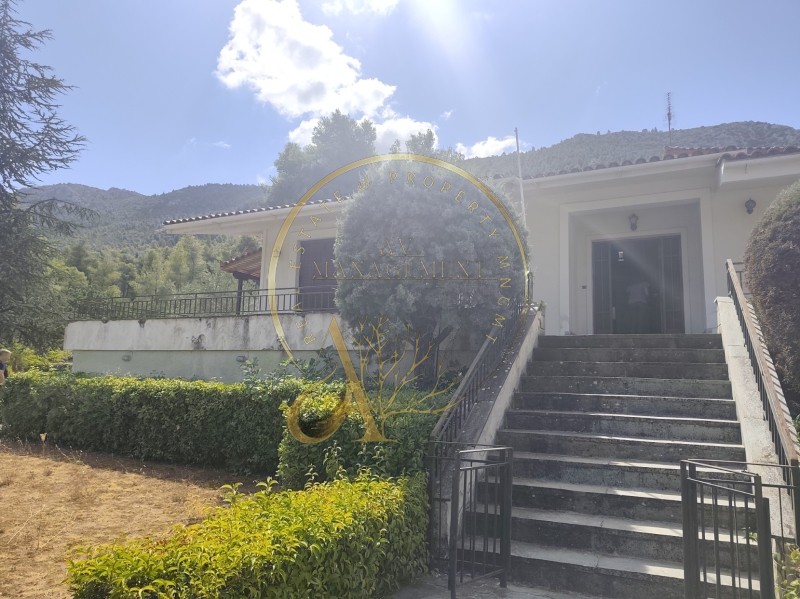 Διαμέρισμα 280 τ.μ. πρός πώληση, Αττική - Υπόλοιπο, Αυλώνα