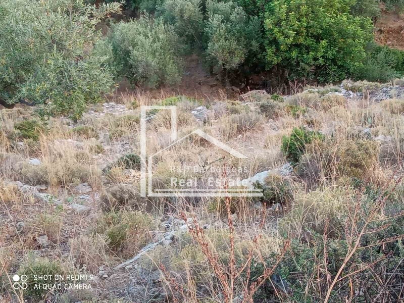 Οικόπεδο 4.670 τ.μ. πρός πώληση, Μεσσηνία, Λεύκτρος