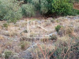 Οικόπεδο 4.670 τ.μ. προς πώληση, Προάστιο Λεύκτρου-thumb-4