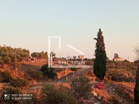 Οικόπεδο 4.670 τ.μ. πρός πώληση